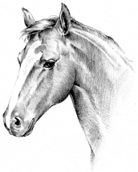 Cheval